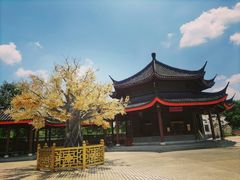 -广东圆玄道观