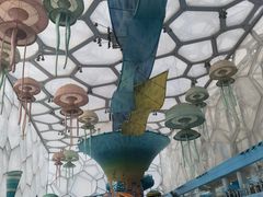 -水立方嬉水乐园