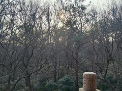 -灵谷景区
