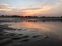 -日照海滨国家森林公园