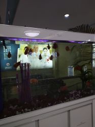 -成都军建医院·疤痕诊疗中心