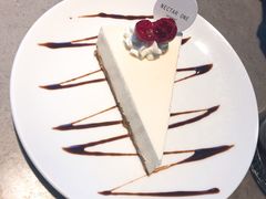 -Nectar One Cafe(勇烈路n1店)