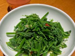 木姜子拌丝瓜尖-一坐一忘云南菜(三里屯店)