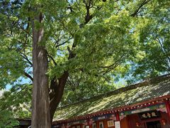 -少华山国家森林公园
