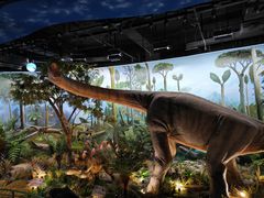 -陕西自然博物馆