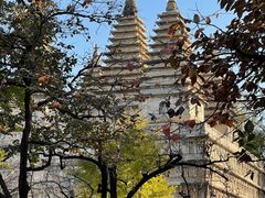 -北京石刻艺术博物馆(五塔寺)
