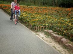 -白鹭湾湿地公园