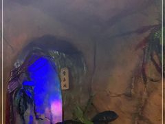 -醉小酒馆·川菜·江湖菜·重庆菜(观音桥旗舰店)