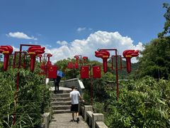 -花溪公园