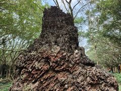-海口火山口国家地质公园