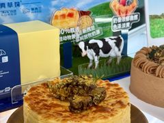 -倾城密码(大唐店)