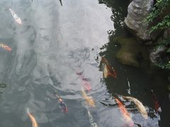 -檀园