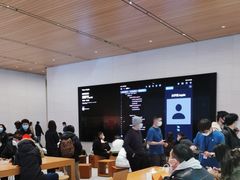 -苹果维修服务(三里屯店)