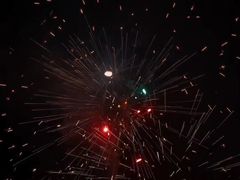 -广东惠东海龟国家级自然保护区