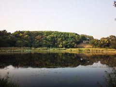 -上海市保健医疗中心(华东疗养院)