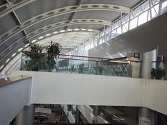 -上海市第一人民医院(松江南部)