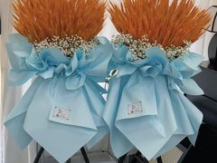 -淘花源花艺鲜花店 开业花篮 绿植(南部商务区店)