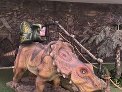 -陕西自然博物馆