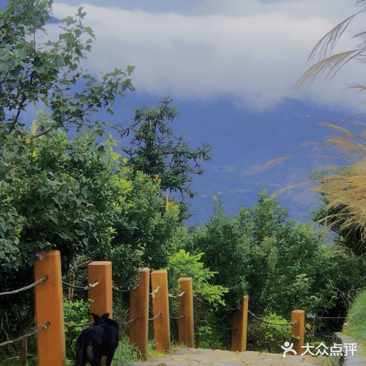 ⛰️潮州 凤凰山攻略⛺️含泪避雷篇🚫