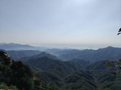 -六里坪国家森林公园