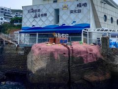 -东极岛景区