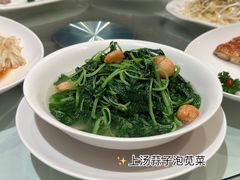 上汤蒜子泡苋菜-利苑酒家(金宝店)