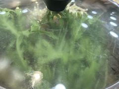 -真利味·脊骨火锅·正宗韩国料理(韩乐坊店)