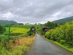 -帐篷客·溪龙茶谷度假酒店