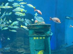 -海合安武汉极地海洋公园
