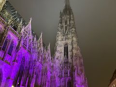 -斯蒂芬主教座堂(Stephansdom)