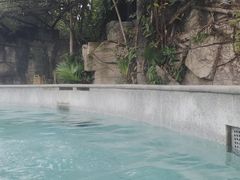 -天赐温泉