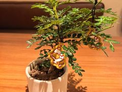 -CURRY YA 熟成咖哩專門店(深圳湾万象城店)
