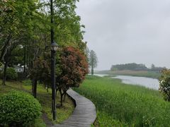 -苏州太湖湖滨国家湿地公园