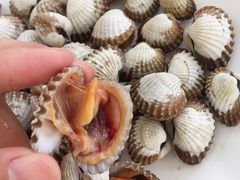 -如意楼农家菜(雁荡山店)