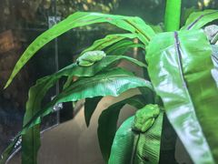 -萌宠奇缘(荣鼎店)