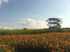 -光明小镇欢乐田园