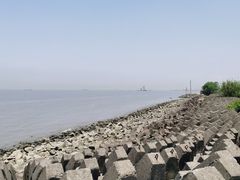 -上海滨江森林公园