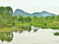 -会仙湿地