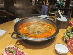 -老凯俚酸汤鱼(多彩城店)