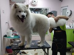 -乐宠宠物店(世纪金源店)