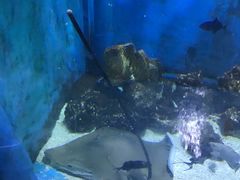 -北国之春国宴(乌兰察布店)