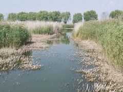 -野鸭湖国家湿地公园
