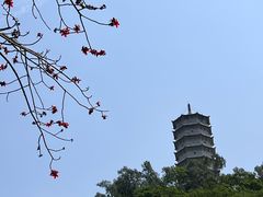 -深圳国际园林花卉博览园