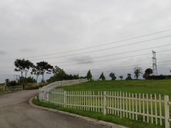 -紫颐香薰山谷景区