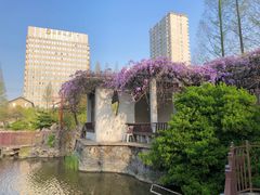 -郑和公园