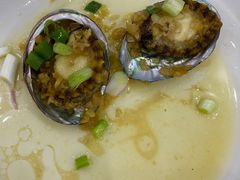 -七鲜渔港美食餐厅(巽寮湾海景店)