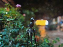 -杨厝六十六农庄农舍(杨厝路店)