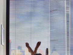 -上海璞麗酒店