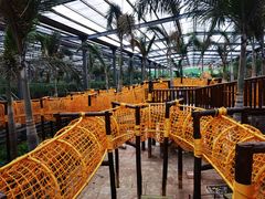 -呀路古热带植物园