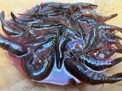 -品鲜村农家菜·阳澄湖大闸蟹(总店)